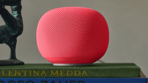 Google Home Speaker in red