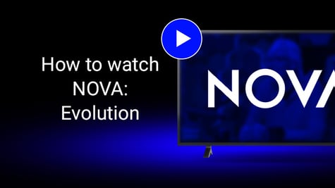 how to watch NOVA evolution