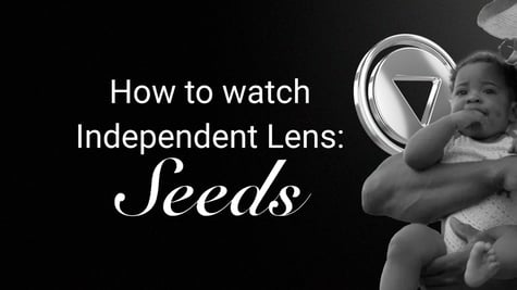 independent lens seeds