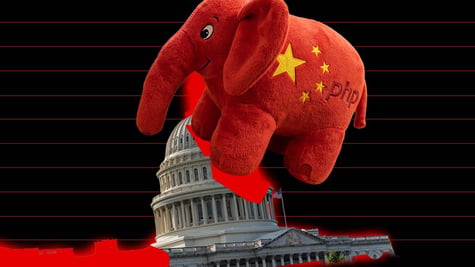 php elephant China