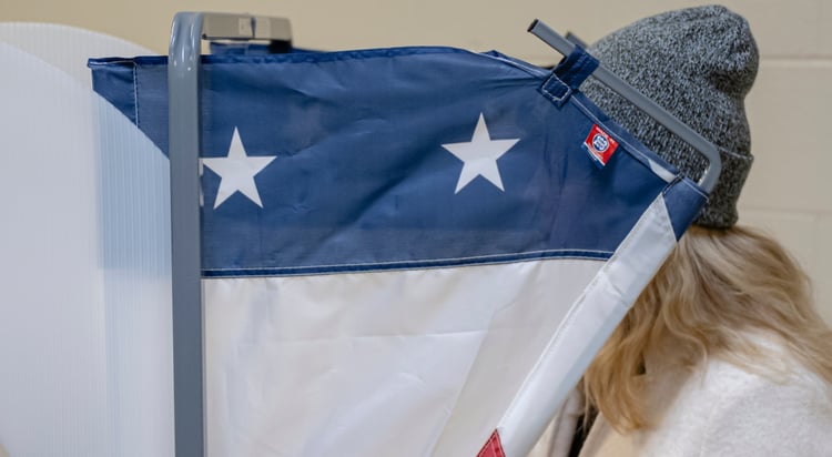 White House delays report on voting machine vulnerabilities | Cybernews