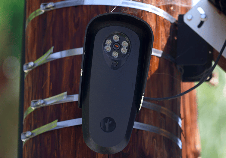 A Flock camera mounted to a pole.