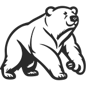 BlitzBear