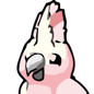 Cockatoo
