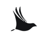 Findsight