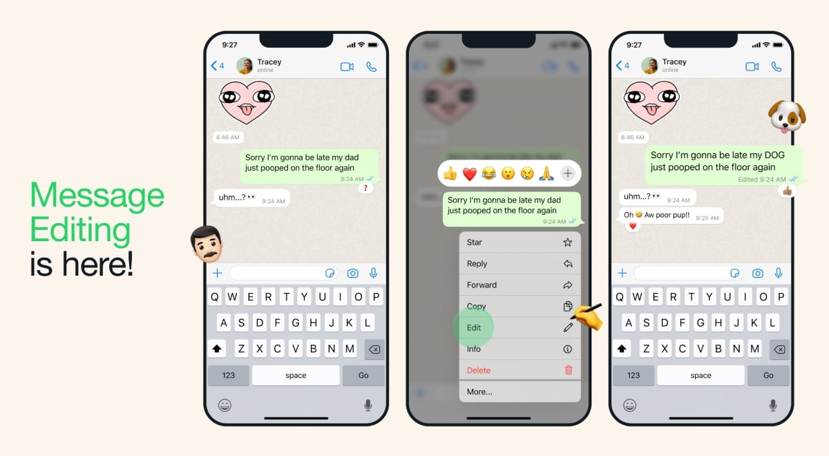 whatsapp_edit