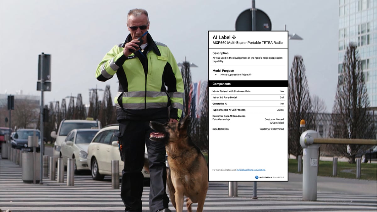 man in yellow jacket walks a German sheppard,