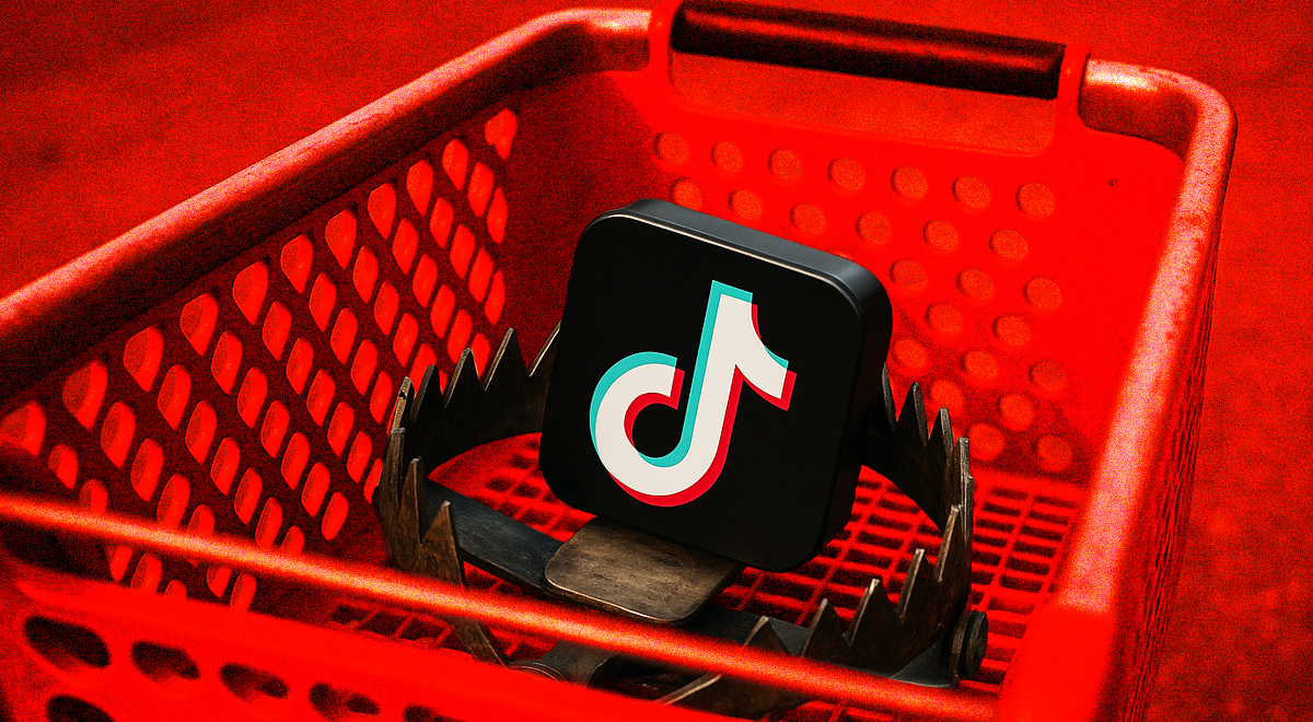 TikTok trend scam
