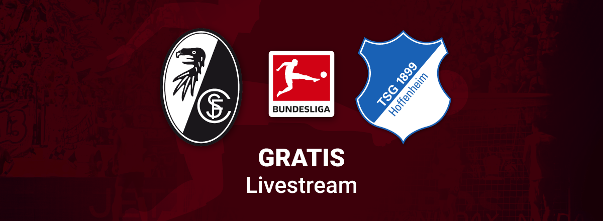 Screenshot Freiburg vs. Hoffenheim Team Logo for Bundesliga Stream