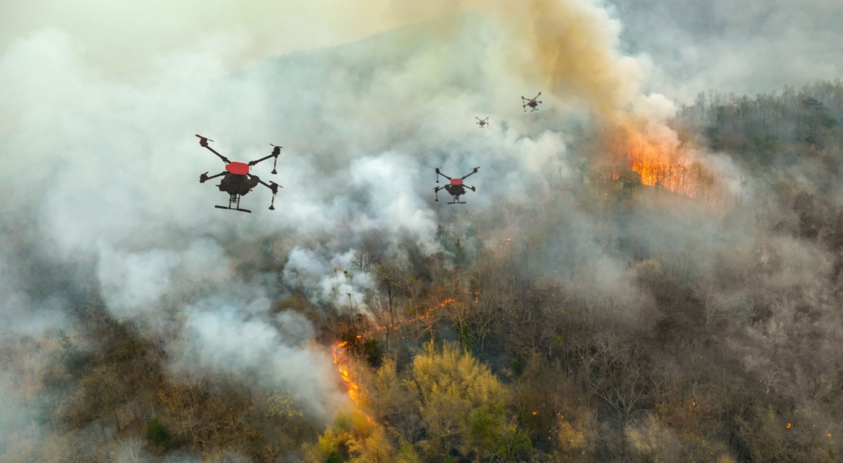 Drones in wildfire