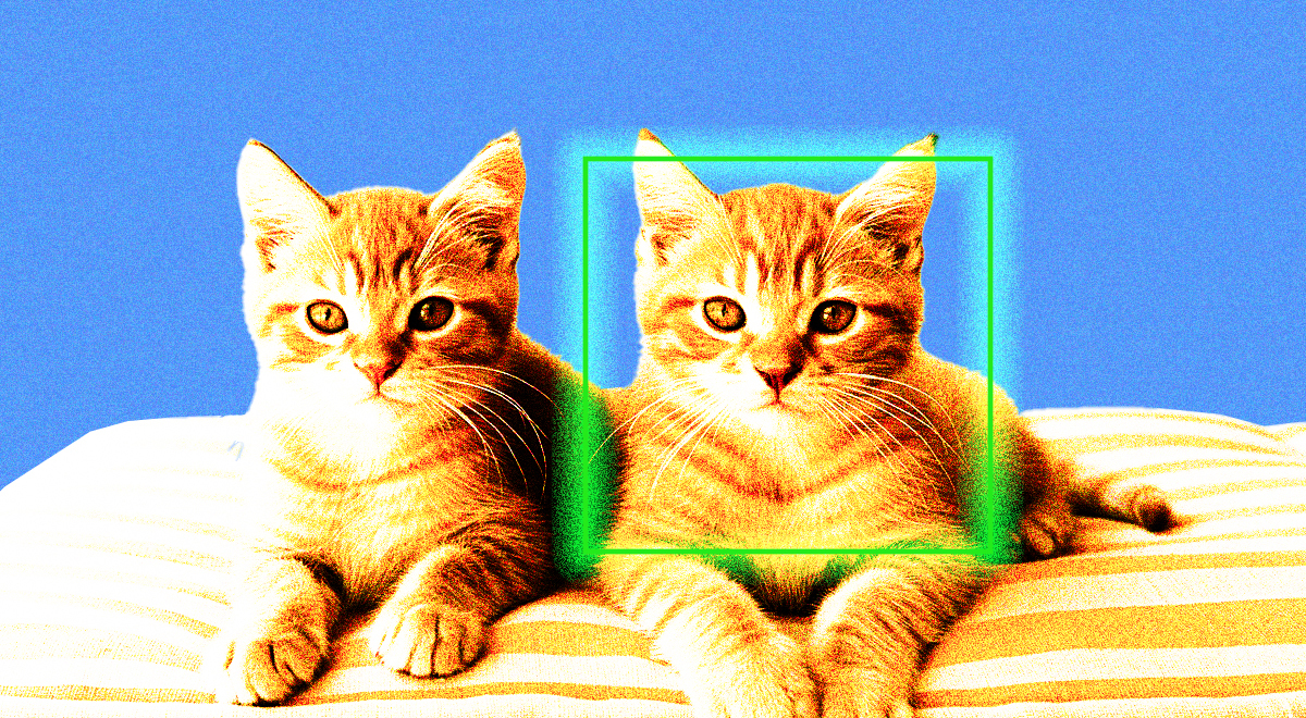 Two kittens beings scanned by artificial intelligence (AI) system
