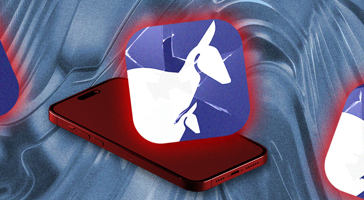 HopHop app data leak