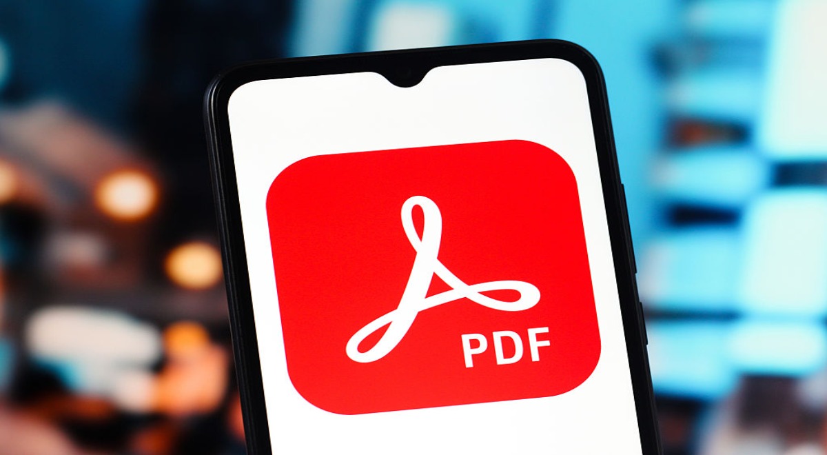 PDF budget leak