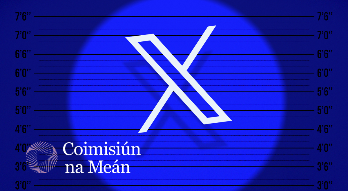 DPA investigating X platform
