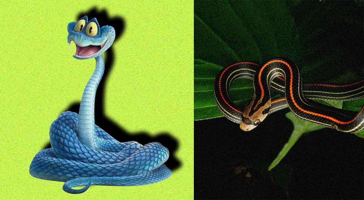 Split-screen of Gary the Snake from Zootopia and an Indonesian blue viper.