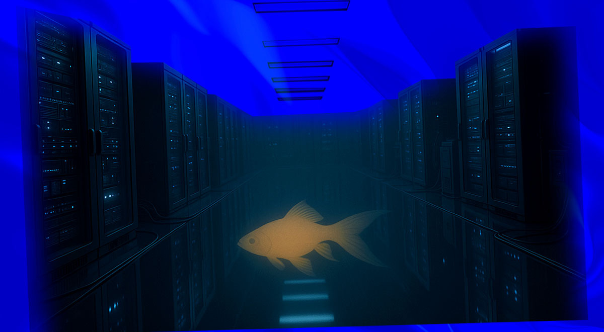 A blurred shot of a server room and a goldfish fading into the background.