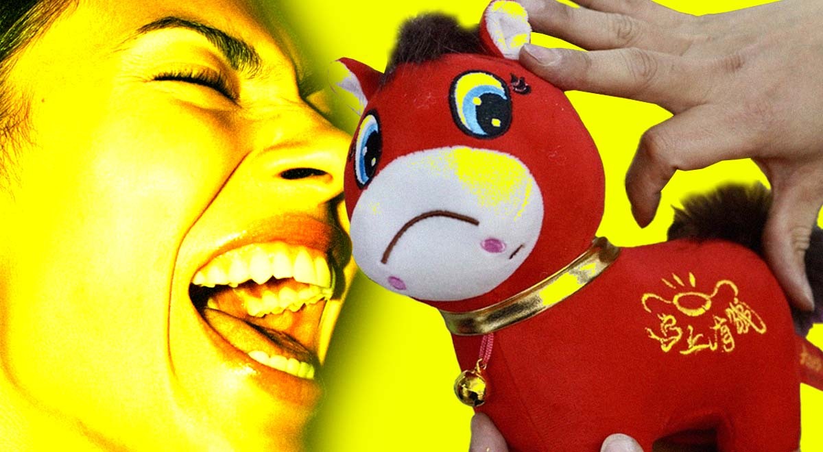A yellow background, with an enthused face and a stuffed toy horse.