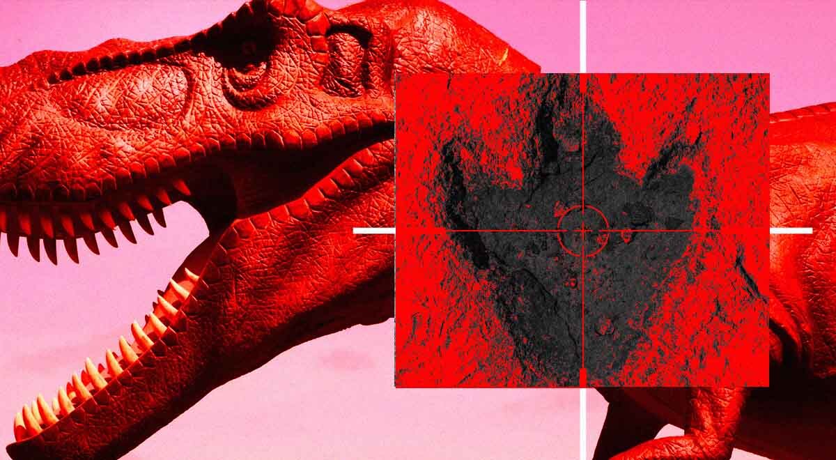 Dinosaur footprint identification app