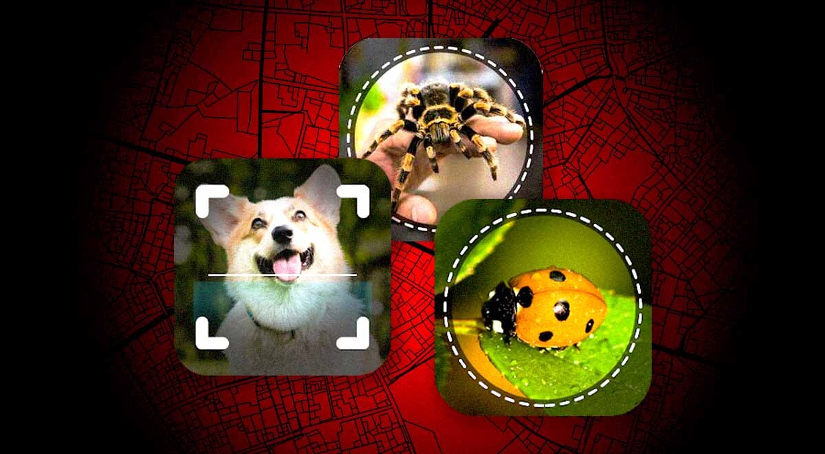 apps location
