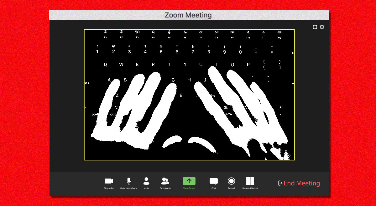 fake Zoom update