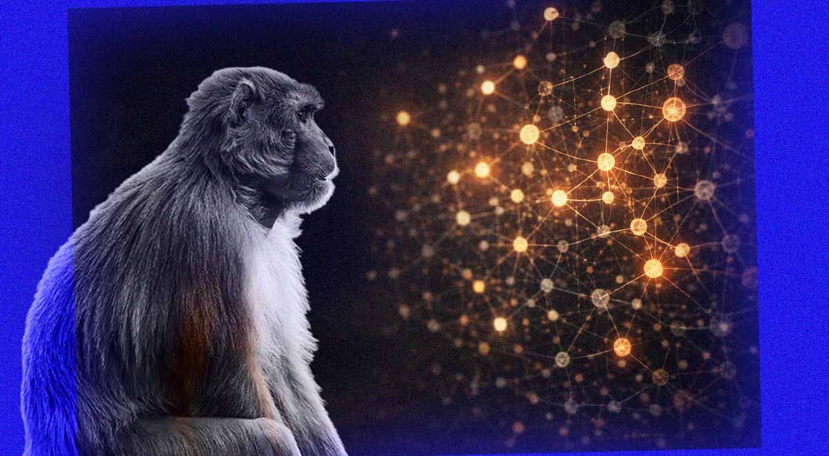 A monkey next to a glowing AI brain.
