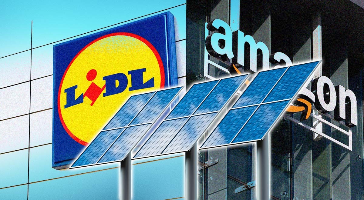 Amazon and Lidl solar panels