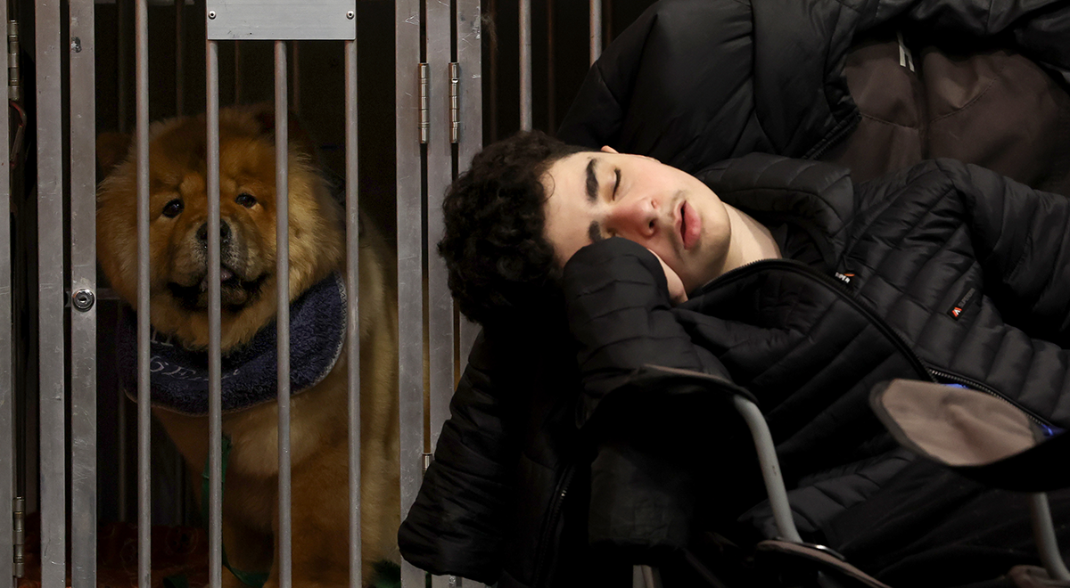 sleeping at work