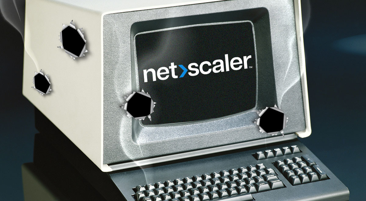vulnerability netcsaler