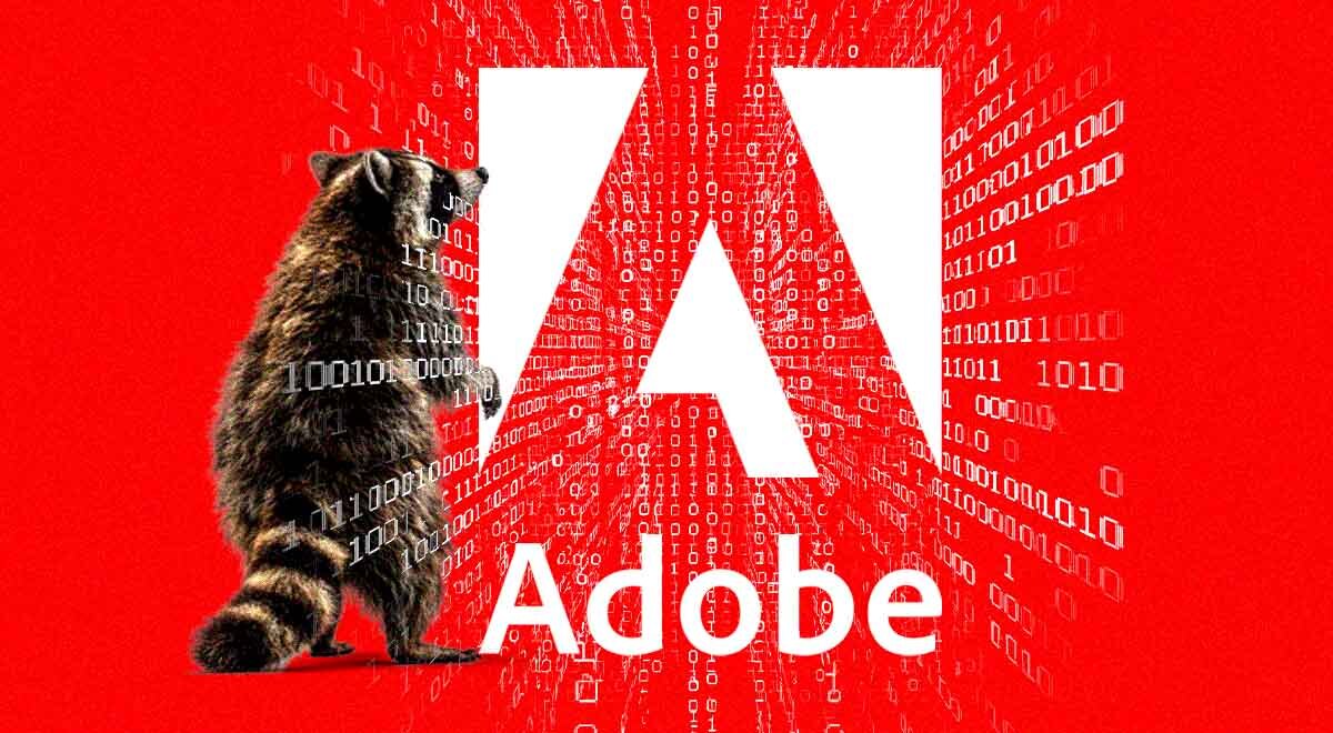 raccoon attacking Adobe
