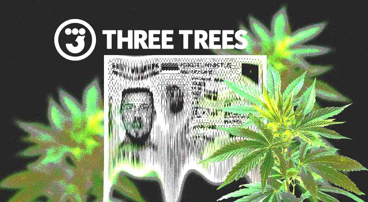Three Trees