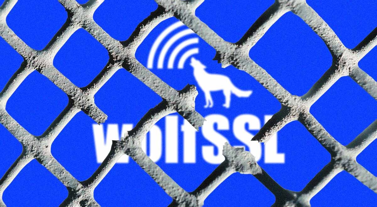 wolfSSL vulnerability