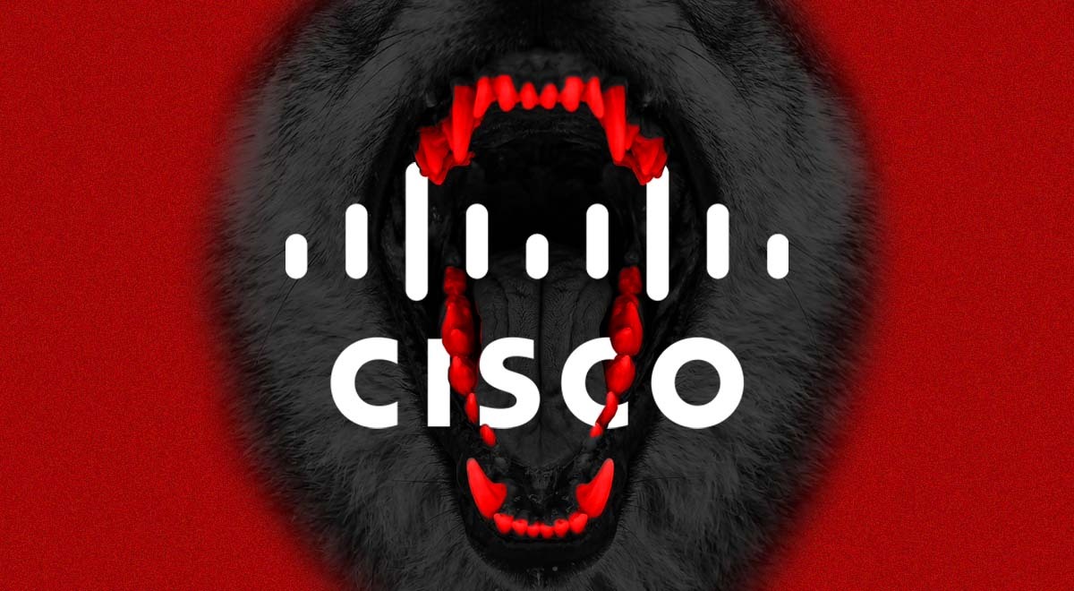 cisco