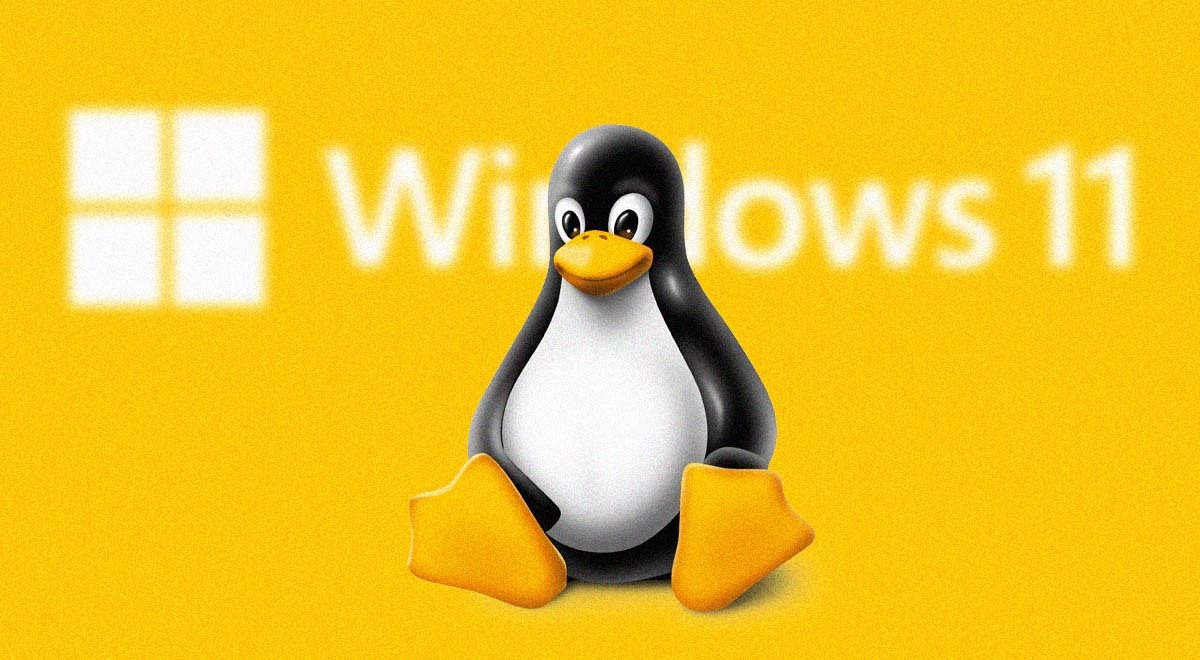 A Penguin from Linux logo on a yellow background, the Windows 11 logo behind it