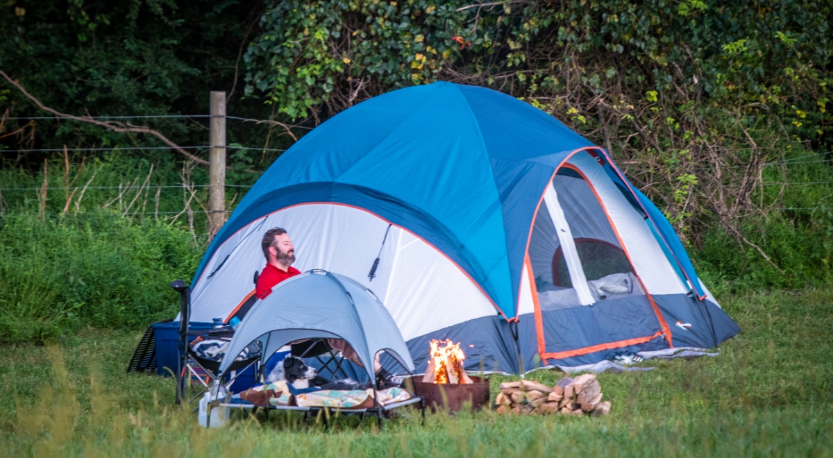 blur and white tent, bearded man in red shirt, mini blue tent with dog resting, green grass