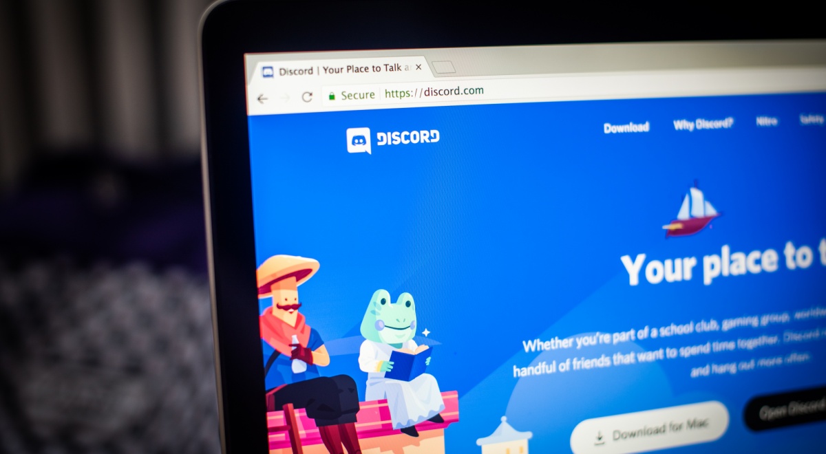 discord main page, blue screen on laptop desktop, black laptop, animated animal