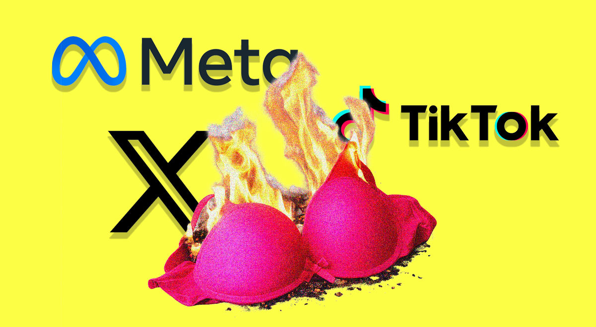 meta x tiktok bra