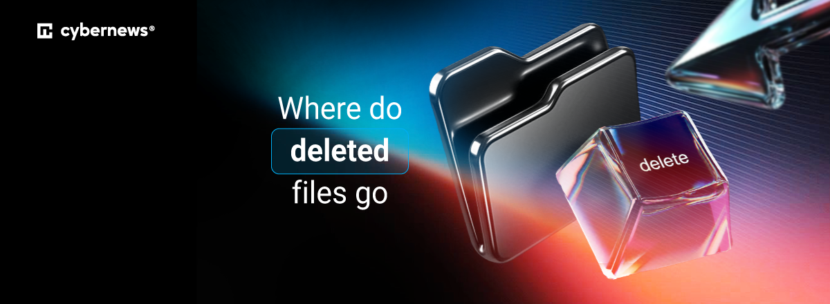 Where do deleted files go