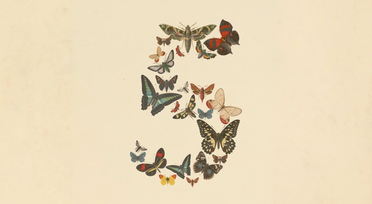 fable-five-claude