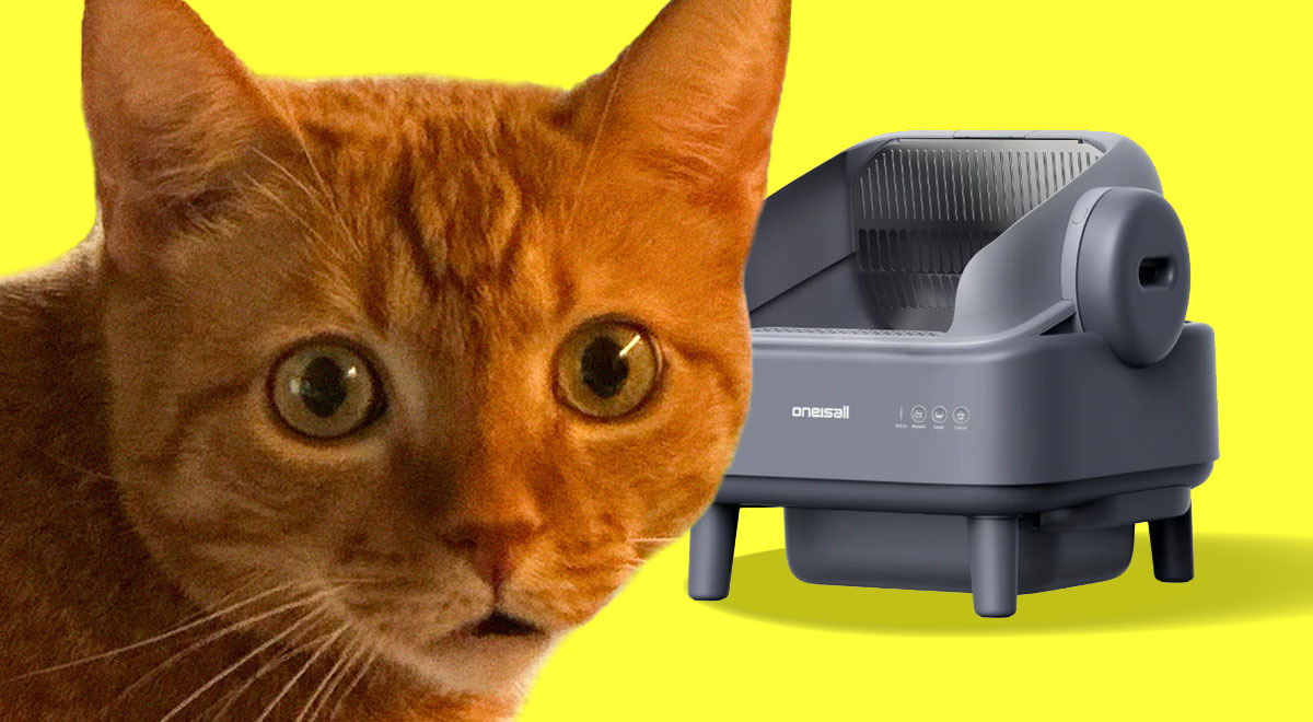 Lokis and OneIsAll litter box