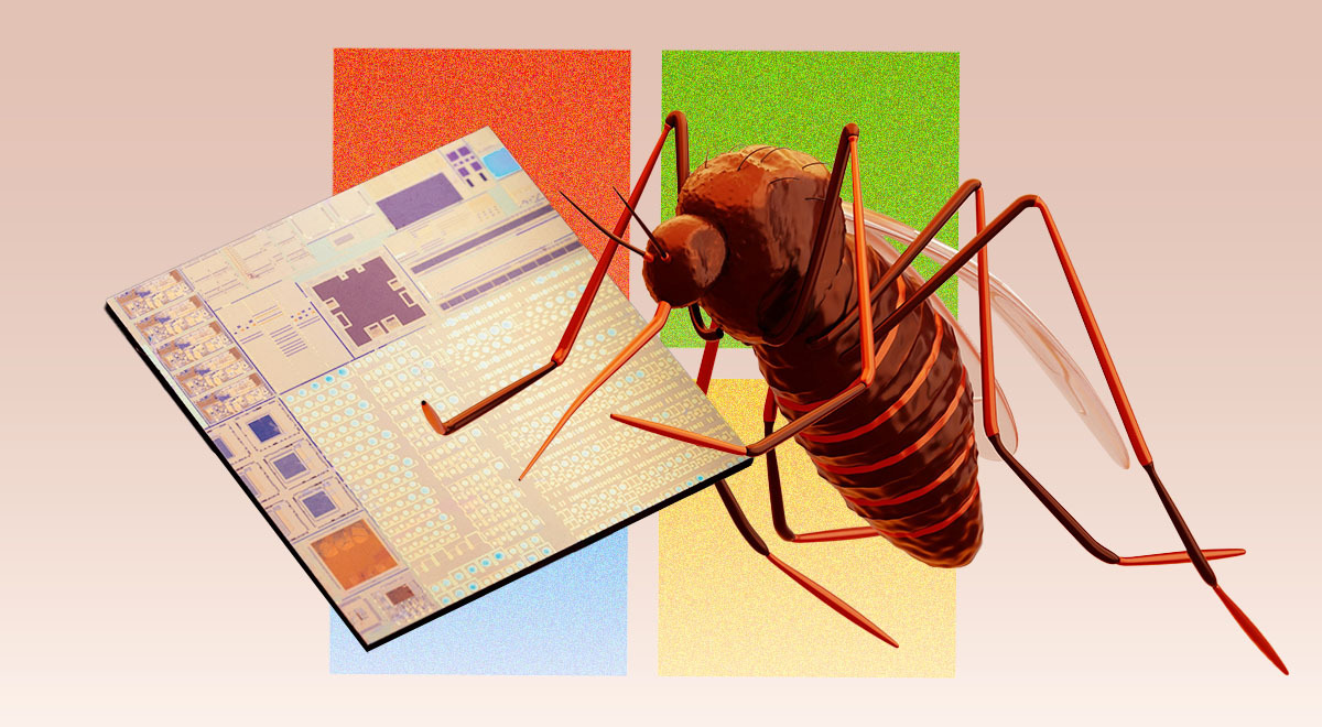 windows-11-bug