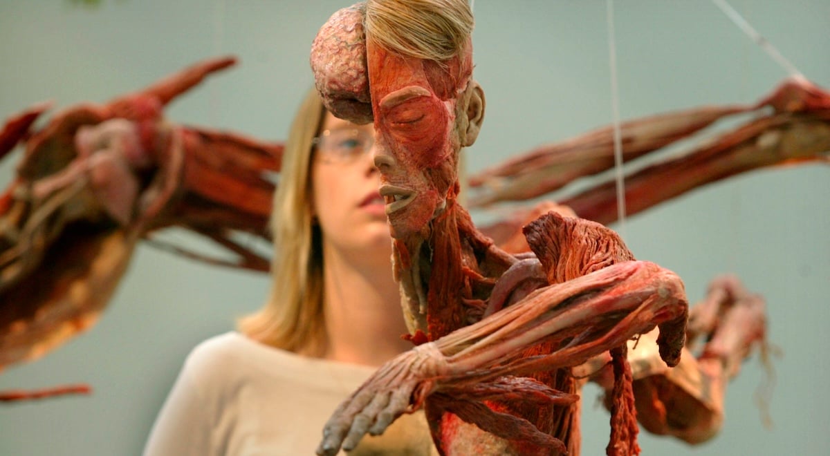 world body exhibit