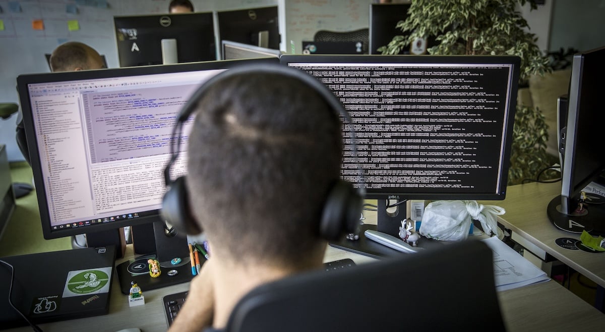 developer working computer bloomberg