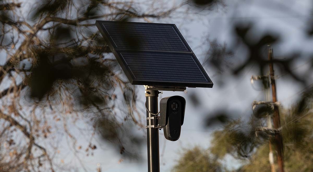 Flock's automated license plate reader (ALPR) camera behind tree branches
