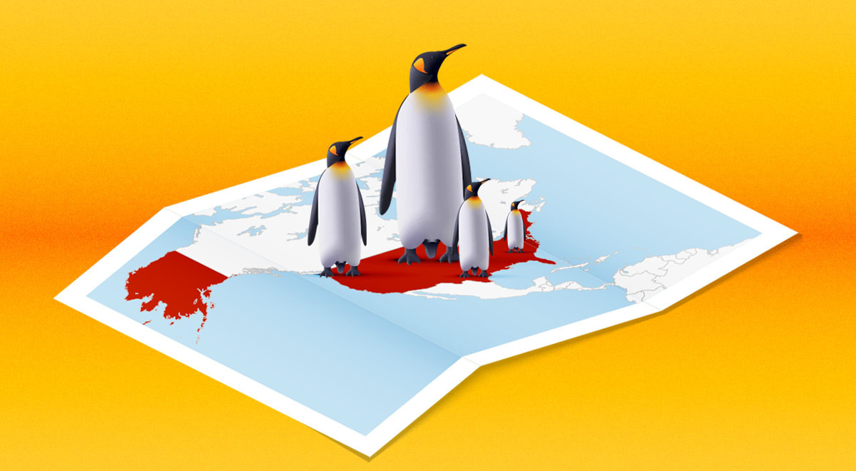 Four penguins on a map where the US is marked