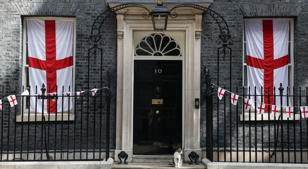 cat sits on doorstep, number 10 on door , flags in windows