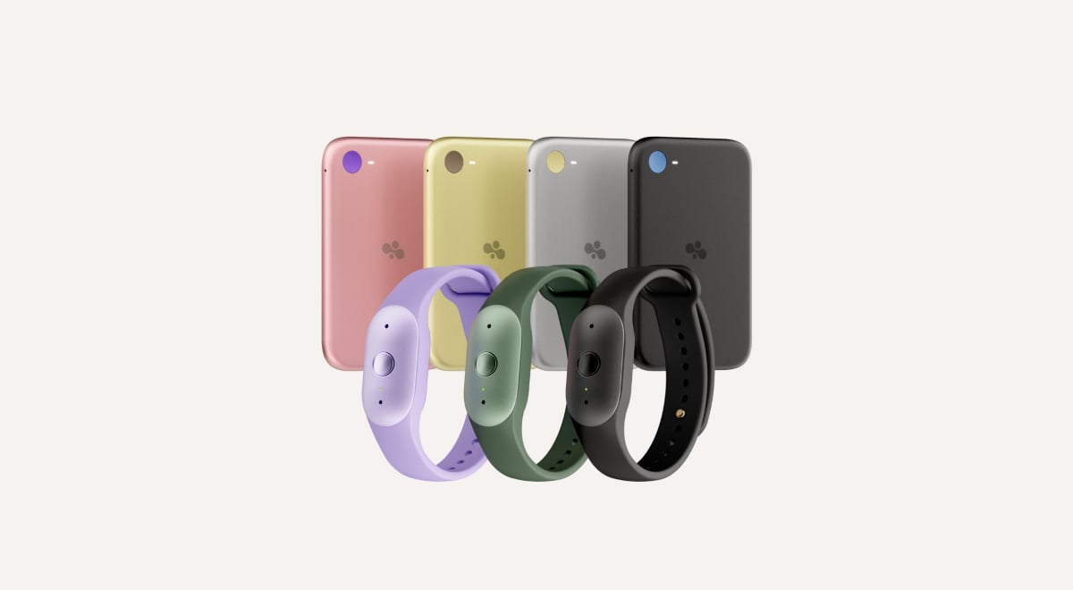 Amazon Bee band and magnetic AI assistant devices