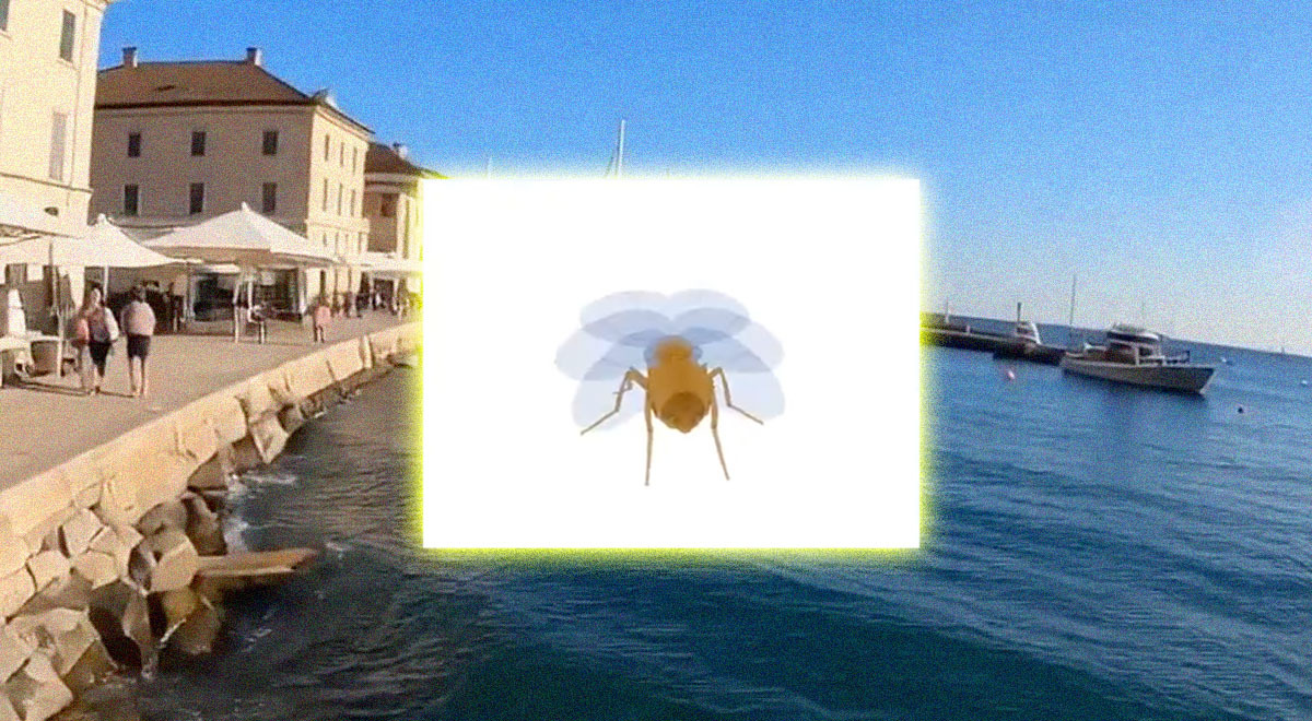 Worry Fly Fruit fly brain enters AI-built virtual world | Cybernews