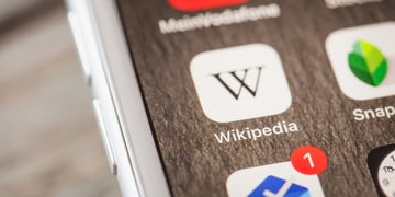 Wikipedia app on screen