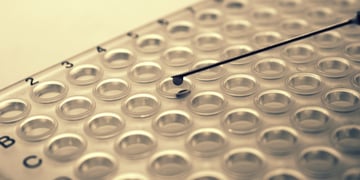 Plate with syringe needle and a drop of blood