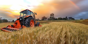 Tractor in the fields